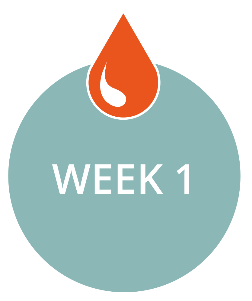 Week_1_Graphic