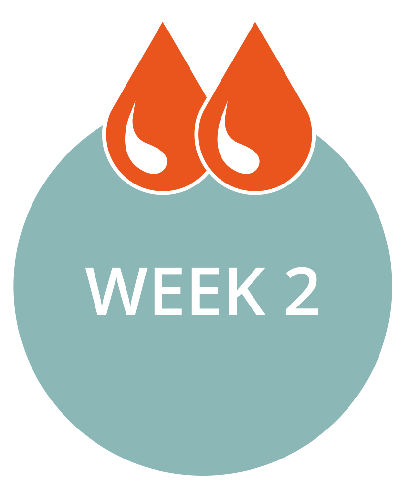 Week_2_Graphic