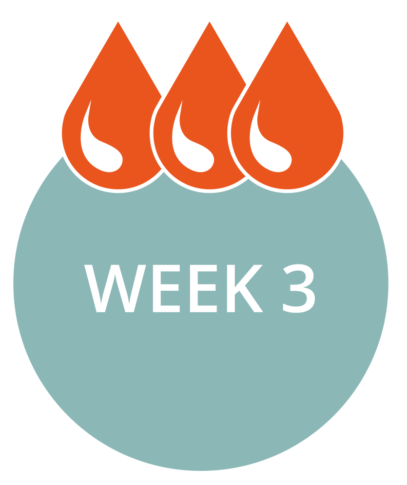 Week_3_Graphic