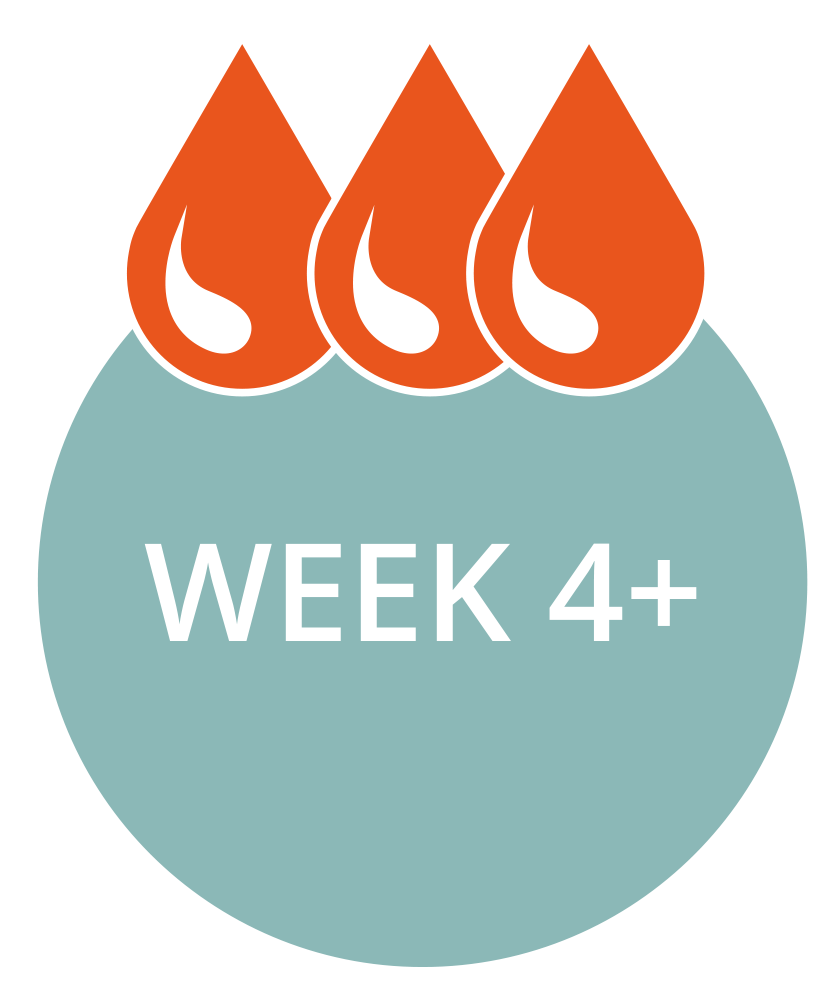 Week_4_Graphic